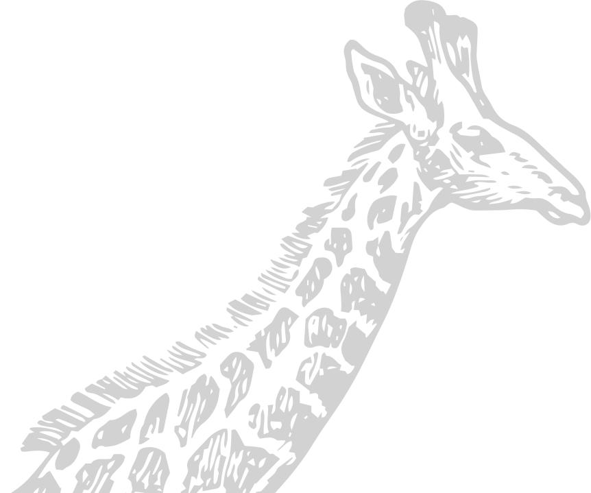 image animaux girafe gris
