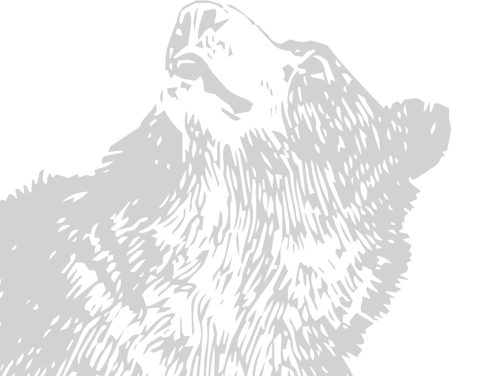 image animaux ours 3 gris