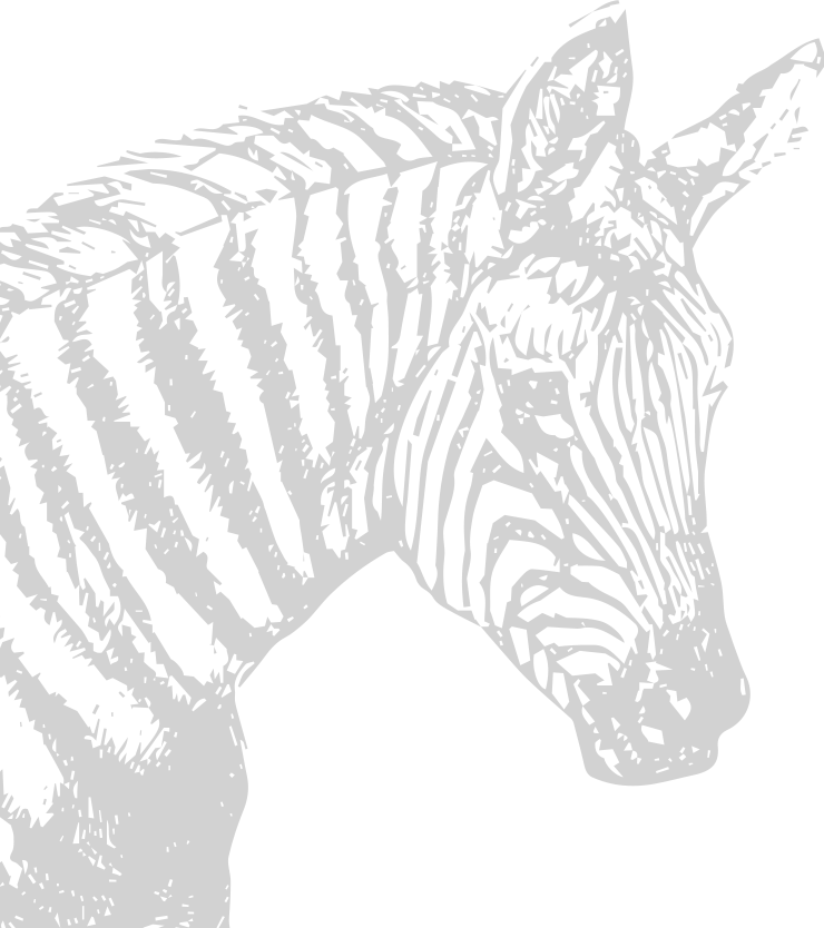 image animaux zebre gris